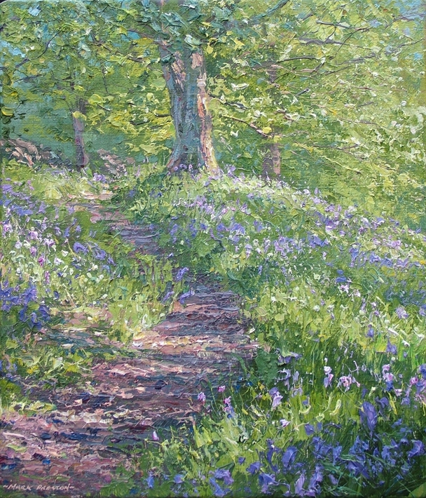 Mark Preston - bluebells, bramley wood